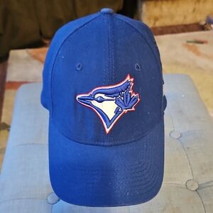 🌟3/$25🌟 Toronto Blue Jays Flexfit Medium/Large 39 Thirty baseball cap
